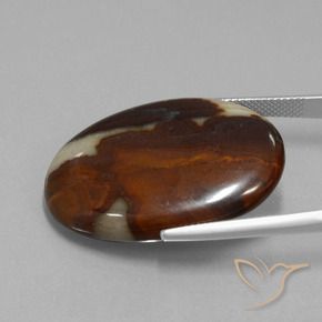 Jaspe Multicolor natural de 39.85 ct, Ovalada, Opaco