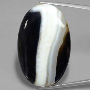 Jaspe multicolor natural de 57,18 ct, corte óvalo, opaco
