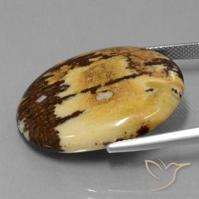 Jaspe Multicolor natural de 28.65 ct, Ovalada, Opaco