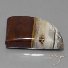 Jaspe Multicolor natural de 40.76 ct, Elegante, Opaco