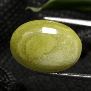 Jaspe Multicolor natural de 7.63 ct, Corte Óvalo, Opaco