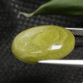 Jaspe Multicolor natural de 7.63 ct, Corte Óvalo, Opaco