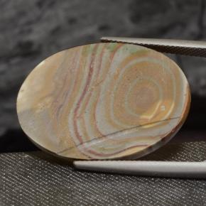 Jaspe Multicolor natural de 23.47 ct, Corte Óvalo, Opaco