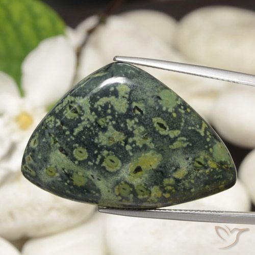 44.66ct Natural Multicolor Jaspe, Trillón, Opaco