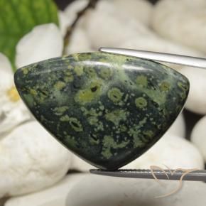 Jaspe Multicolor natural de 44.66 ct, Trillón, Opaco