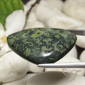 Jaspe Multicolor natural de 44.66 ct, Trillón, Opaco