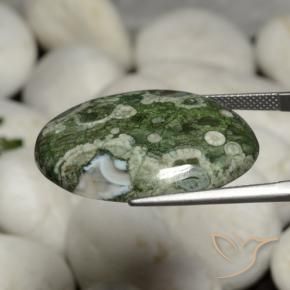 Jaspe Multicolor natural de 26.41 ct, Ovalada, Opaco
