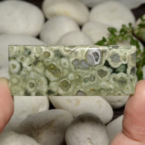 Jaspe multicolor natural de 40,89 ct, baguette, opaco