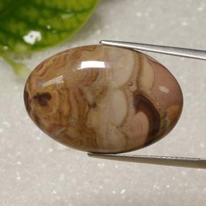 Jaspe multicolor natural de 17,61 ct, corte óvalo, opaco