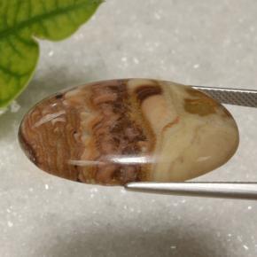 Jaspe Multicolor natural de 21.62 ct, Corte Óvalo, Opaco