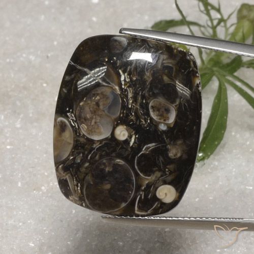 23.10ct Natural Multicolor Jaspe, Forma Cojín, Opaco