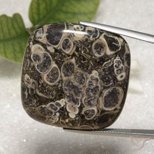 55.16ct Natural Multicolor Jaspe, Forma Cojín, Opaco