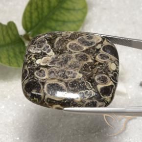 Jaspe Multicolor natural de 55.16 ct, Forma Cojín, Opaco