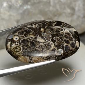 Jaspe Multicolor natural de 44.14 ct, Ovalada, Opaco