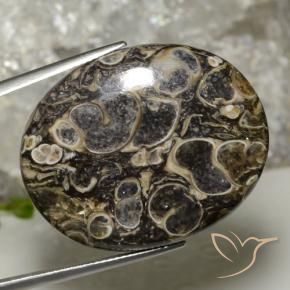 Jaspe Multicolor natural de 37.90 ct, Ovalada, Opaco