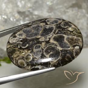 Jaspe Multicolor natural de 37.90 ct, Ovalada, Opaco