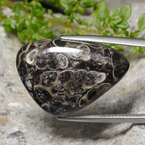 Jaspe multicolor natural de 25,56 ct, trillón, opaco