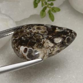 Jaspe Multicolor natural de 22.56 ct, En forma de pera, Opaco