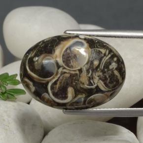 Jaspe multicolor natural de 21,09 ct, corte óvalo, opaco
