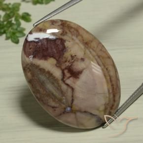 Jaspe Multicolor natural de 26.89 ct, Ovalada, Opaco