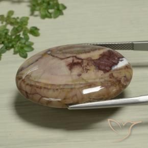 Jaspe Multicolor natural de 26.89 ct, Ovalada, Opaco