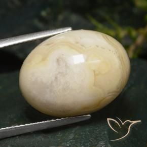 Jaspe Multicolor natural de 16.47 ct, Ovalada, Opaco