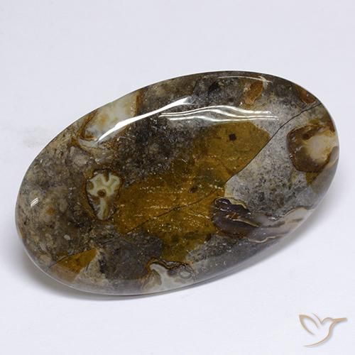 Jaspe Multicolor natural de 48.91 ct, Ovalada, Opaco