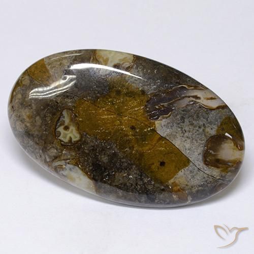 Jaspe Multicolor natural de 48.91 ct, Ovalada, Opaco