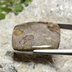 Jaspe Multicolor natural de 18.40 ct, Forma Cojín, Opaco