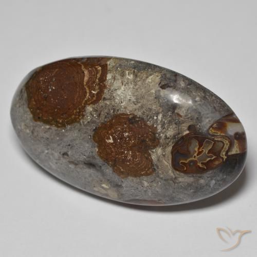 Jaspe Multicolor natural de 46.26 ct, Ovalada, Opaco