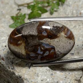 Jaspe Multicolor natural de 39.19 ct, Corte Óvalo, Opaco