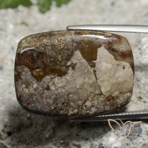 Jaspe Multicolor natural de 26.06 ct, Forma Cojín, Opaco