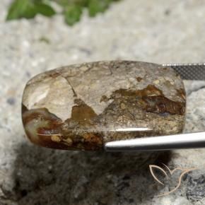 Jaspe Multicolor natural de 26.06 ct, Forma Cojín, Opaco