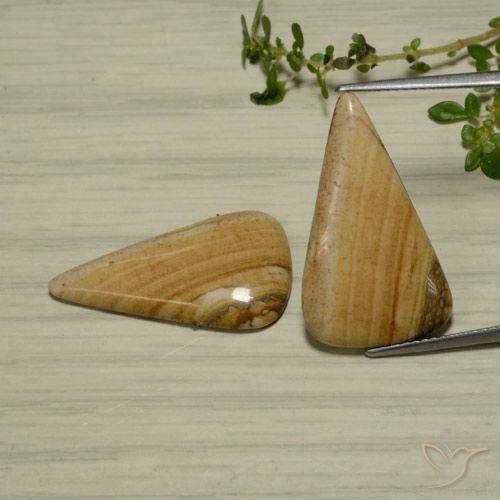 13.78ctw Natural Multicolor Jaspe, En forma de pera, Opaco