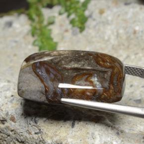 Jaspe Multicolor natural de 25.44 ct, Corte Cojín, Opaco