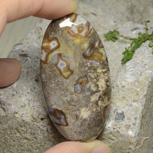 76.29ct Natural Multicolor Jaspe, Ovalada, Opaco