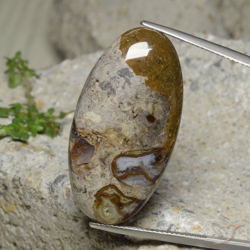 30.95ct Natural Multicolor Jaspe, Ovalada, Opaco