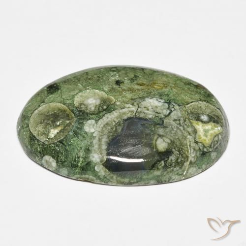 Jaspe Multicolor natural de 19.43 ct, Ovalada, Opaco