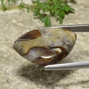 Jaspe Multicolor natural de 9.97 ct, Trillón, Opaco