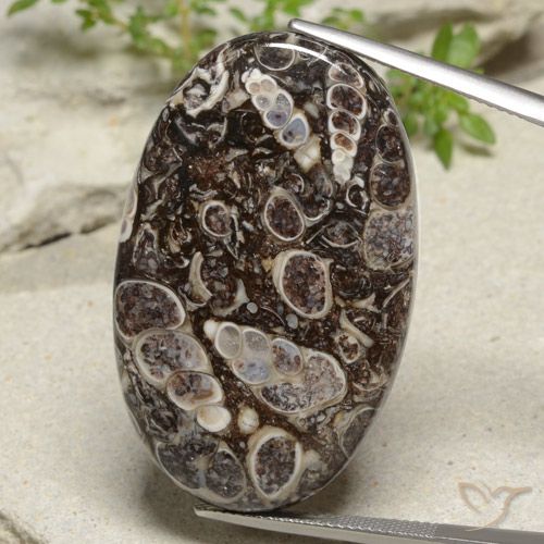 43.97ct Natural Multicolor Jaspe, Ovalada, Opaco