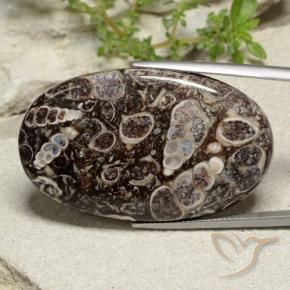 Jaspe Multicolor natural de 43.97 ct, Ovalada, Opaco