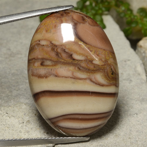 Jaspe Multicolor natural de 26.59 ct, Corte Óvalo, Opaco