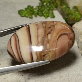 Jaspe Multicolor natural de 26.59 ct, Corte Óvalo, Opaco