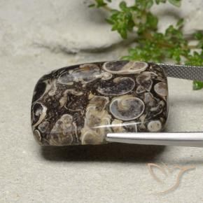 Jaspe Multicolor natural de 33.41 ct, Forma Cojín, Opaco