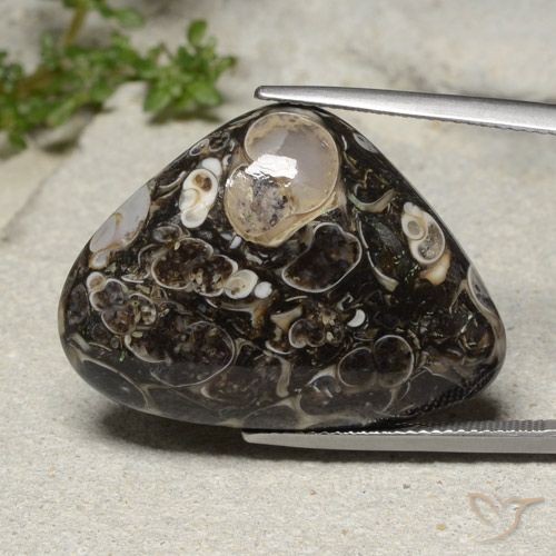 31.57ct Natural Multicolor Jaspe, En forma de pera, Opaco