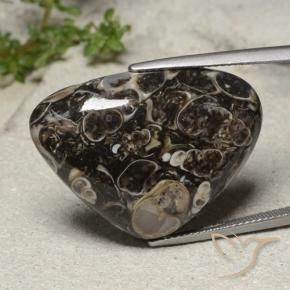 Jaspe Multicolor natural de 31.57 ct, En forma de pera, Opaco