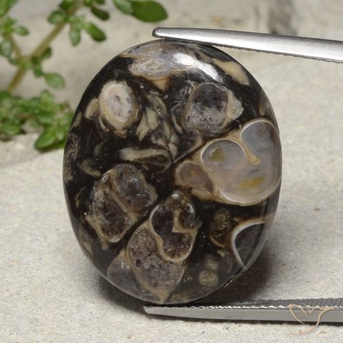 21.18ct Natural Multicolor Jaspe, Ovalada, Opaco