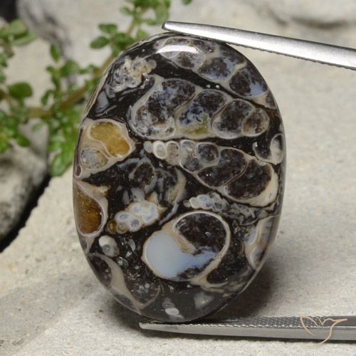 31.02ct Natural Multicolor Jaspe, Ovalada, Opaco