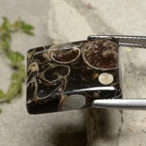 Jaspe multicolor natural de 16,47 ct, baguette, opaco