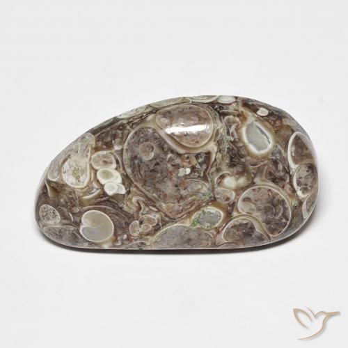 20.68ct Natural Multicolor Jaspe, Elegante, Opaco